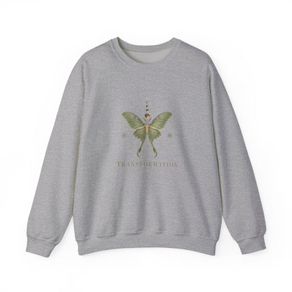 Sweatshirt S / Sport Grey Moth Transformation Sweatshirt
