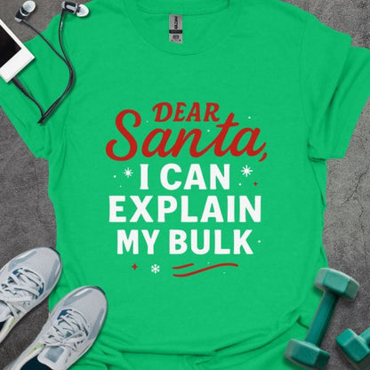 T-Shirt Irish Green / S Dear Santa T-Shirt